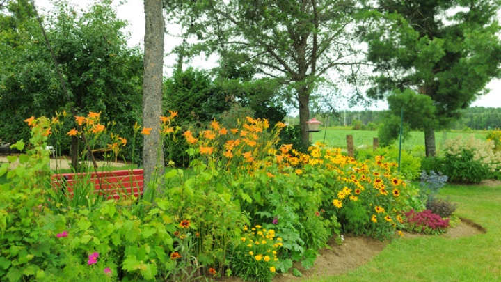 Route des fleurs 2018 de la MRC de Portneuf : concours ouverts à la population