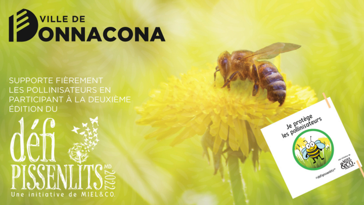 Donnacona se joint au Défi Pissenlits