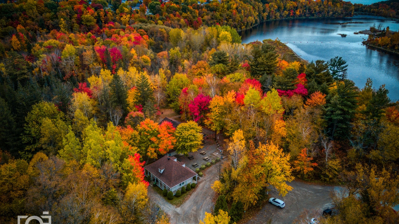 Vue drône - automne