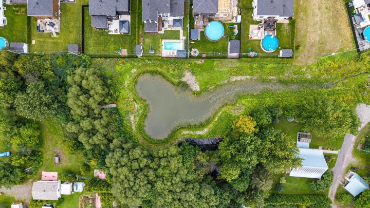 Un bassin de rétention transformé en milieu humide au chemin Doré